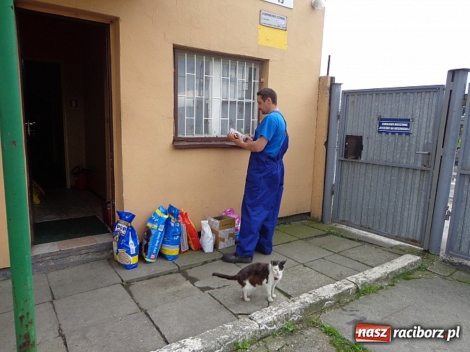 Zdjęcie w galerii na portalu naszraciborz.pl: Wymienili karę na karmę dla zwierząt wiadomości z regionu