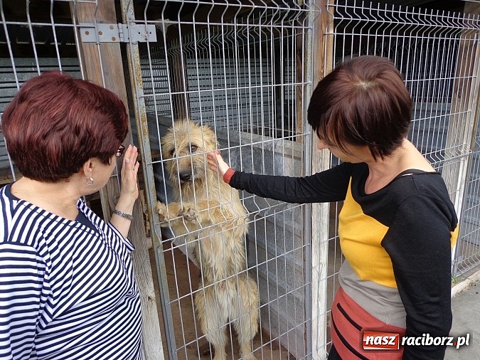 Zdjęcie w galerii na portalu naszraciborz.pl: Wymienili karę na karmę dla zwierząt wiadomości z regionu