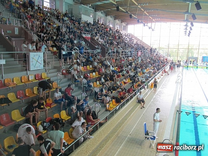 Zdjęcie w galerii na portalu naszraciborz.pl: Dobre starty raciborskich pływaków wiadomości z regionu