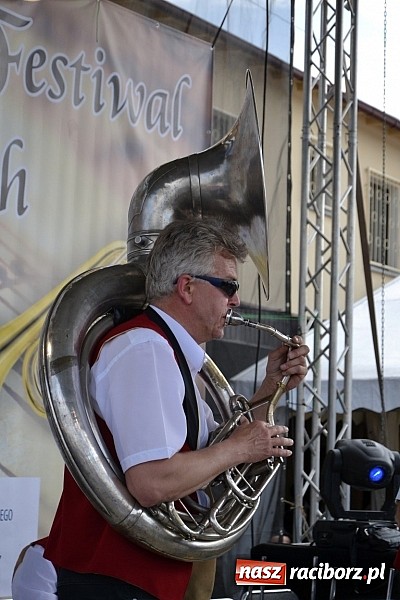 Zdjęcie w galerii na portalu naszraciborz.pl: Plania z Grand Prix na Festiwalu w Tworkowie wiadomości z regionu