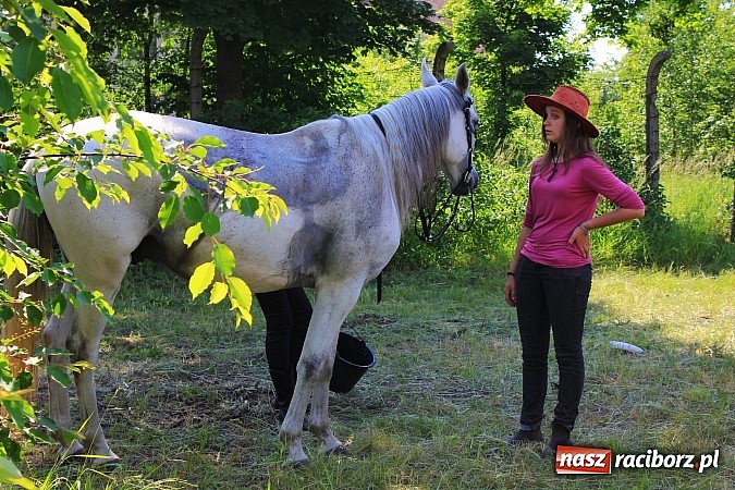 Zdjęcie w galerii na portalu naszraciborz.pl: Amatorskie zawody w stylu western w Kuźni Raciborskiej wiadomości z regionu