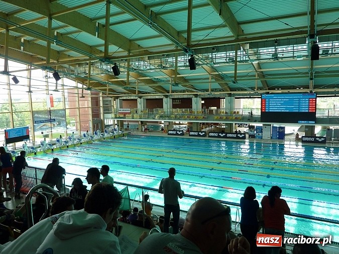 Zdjęcie w galerii na portalu naszraciborz.pl: Pływanie: To były najlepsze mistrzostwa  wiadomości z regionu
