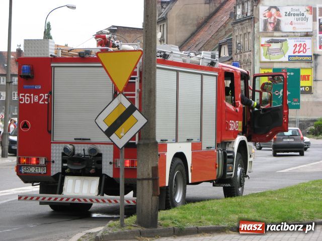 Zdjęcie w galerii na portalu naszraciborz.pl: Przysnął przed obiadem wiadomości z regionu