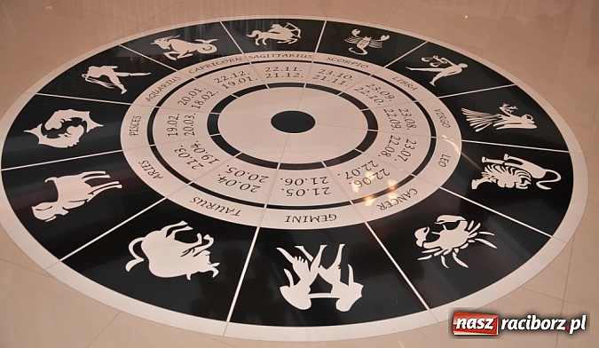 Zdjęcie w galerii na portalu naszraciborz.pl: Gala Metamorfoz – ostatni etap wiadomości z regionu