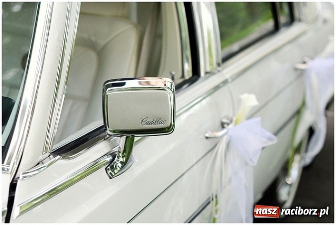 Zdjęcie w galerii na portalu naszraciborz.pl: Gala Metamorfoz – ostatni etap wiadomości z regionu