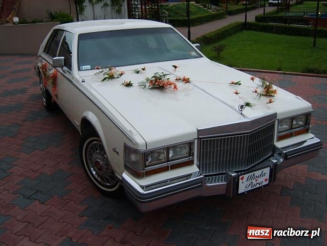 Zdjęcie w galerii na portalu naszraciborz.pl: Gala Metamorfoz – ostatni etap wiadomości z regionu