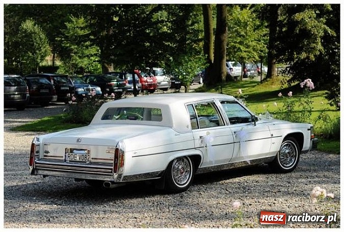 Zdjęcie w galerii na portalu naszraciborz.pl: Gala Metamorfoz – ostatni etap wiadomości z regionu