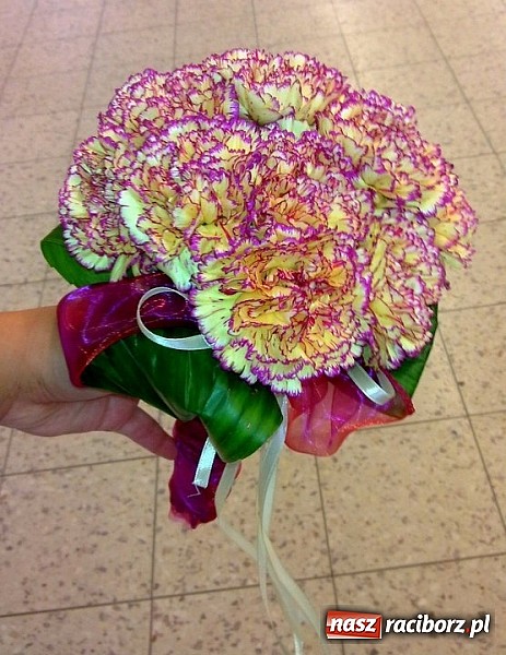 Zdjęcie w galerii na portalu naszraciborz.pl: Gala Metamorfoz – ostatni etap wiadomości z regionu