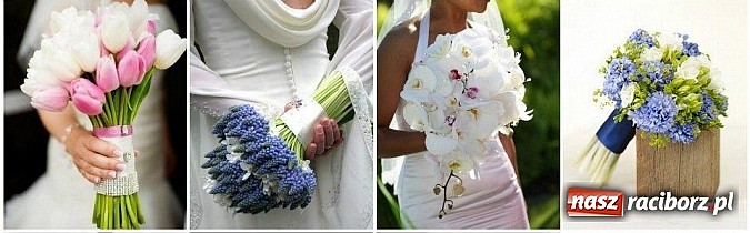 Zdjęcie w galerii na portalu naszraciborz.pl: Gala Metamorfoz – ostatni etap wiadomości z regionu