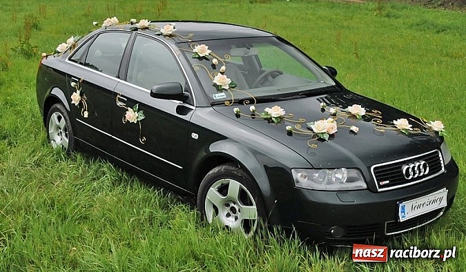 Zdjęcie w galerii na portalu naszraciborz.pl: Gala Metamorfoz – ostatni etap wiadomości z regionu