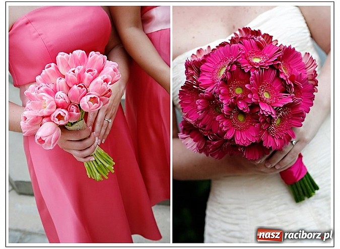 Zdjęcie w galerii na portalu naszraciborz.pl: Gala Metamorfoz – ostatni etap wiadomości z regionu