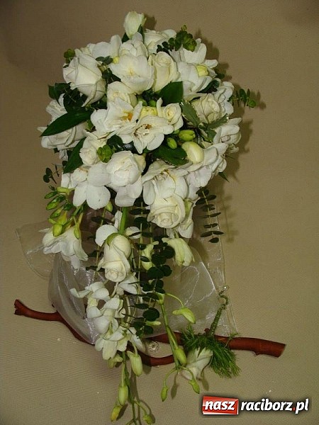 Zdjęcie w galerii na portalu naszraciborz.pl: Gala Metamorfoz – ostatni etap wiadomości z regionu