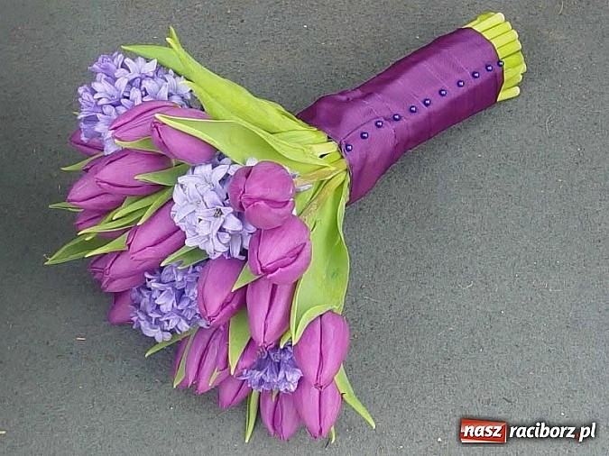 Zdjęcie w galerii na portalu naszraciborz.pl: Gala Metamorfoz – ostatni etap wiadomości z regionu