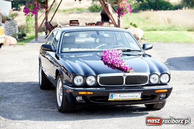 Zdjęcie w galerii na portalu naszraciborz.pl: Gala Metamorfoz – ostatni etap wiadomości z regionu