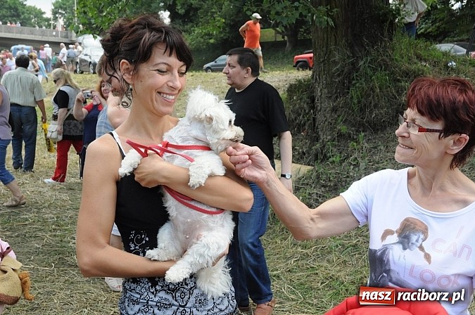 Zdjęcie w galerii na portalu naszraciborz.pl: Odra to nasza sprawa - Pływadło 2013 ruszyło  wiadomości z regionu