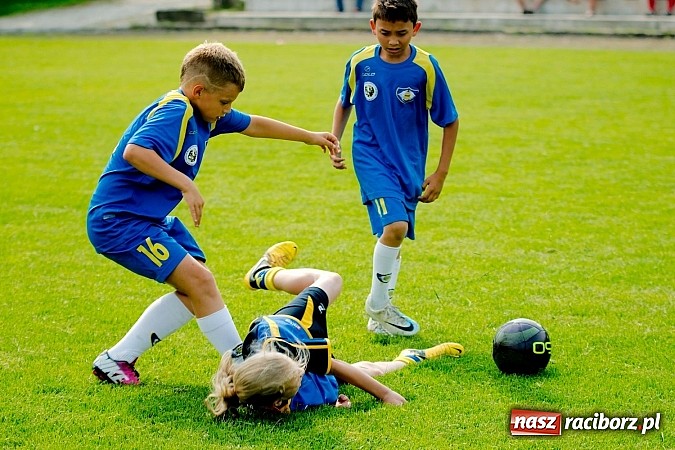 Zdjęcie w galerii na portalu naszraciborz.pl: Tworków Cup 2013: Dreszczowiec w finale. Puchar zostaje w Tworkowie wiadomości z regionu