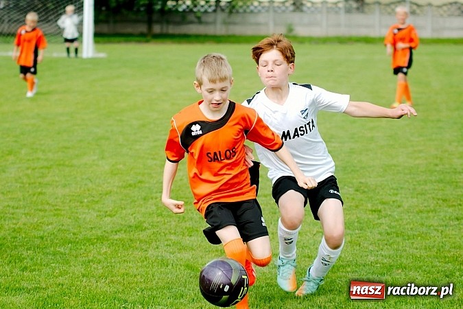 Zdjęcie w galerii na portalu naszraciborz.pl: Tworków Cup 2013: Dreszczowiec w finale. Puchar zostaje w Tworkowie wiadomości z regionu