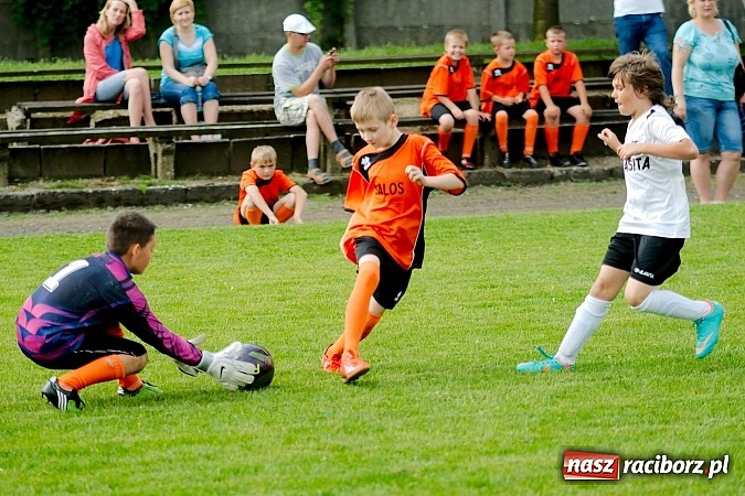 Zdjęcie w galerii na portalu naszraciborz.pl: Tworków Cup 2013: Dreszczowiec w finale. Puchar zostaje w Tworkowie wiadomości z regionu