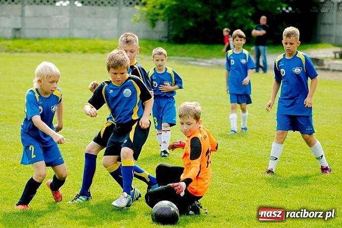 Zdjęcie w galerii na portalu naszraciborz.pl: Tworków Cup 2013: Dreszczowiec w finale. Puchar zostaje w Tworkowie wiadomości z regionu
