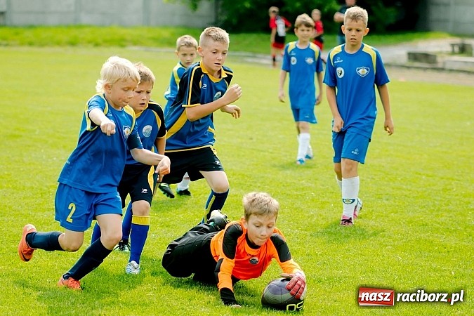 Zdjęcie w galerii na portalu naszraciborz.pl: Tworków Cup 2013: Dreszczowiec w finale. Puchar zostaje w Tworkowie wiadomości z regionu