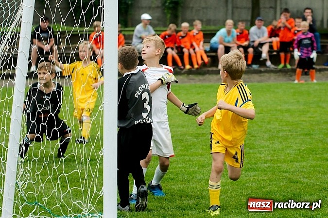Zdjęcie w galerii na portalu naszraciborz.pl: Tworków Cup 2013: Dreszczowiec w finale. Puchar zostaje w Tworkowie wiadomości z regionu