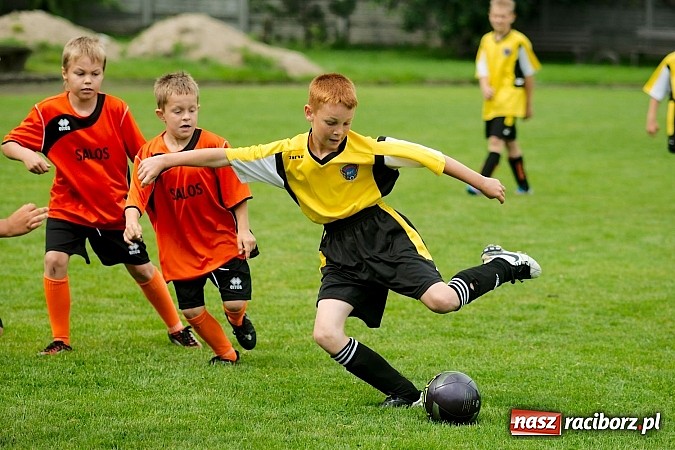 Zdjęcie w galerii na portalu naszraciborz.pl: Tworków Cup 2013: Dreszczowiec w finale. Puchar zostaje w Tworkowie wiadomości z regionu