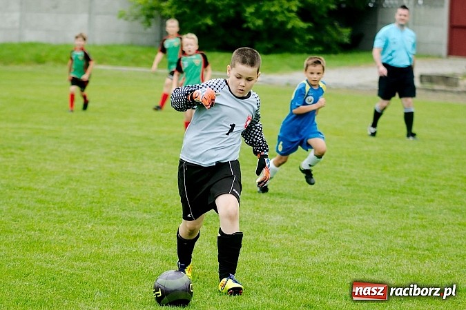 Zdjęcie w galerii na portalu naszraciborz.pl: Tworków Cup 2013: Dreszczowiec w finale. Puchar zostaje w Tworkowie wiadomości z regionu