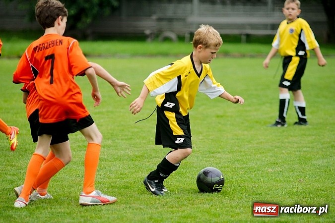 Zdjęcie w galerii na portalu naszraciborz.pl: Tworków Cup 2013: Dreszczowiec w finale. Puchar zostaje w Tworkowie wiadomości z regionu