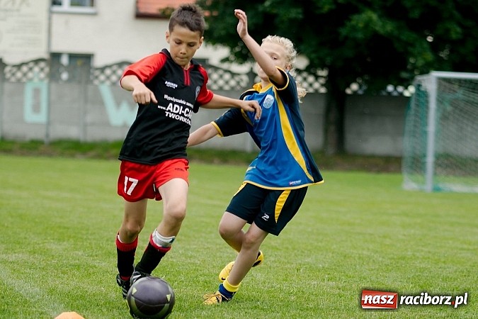 Zdjęcie w galerii na portalu naszraciborz.pl: Tworków Cup 2013: Dreszczowiec w finale. Puchar zostaje w Tworkowie wiadomości z regionu