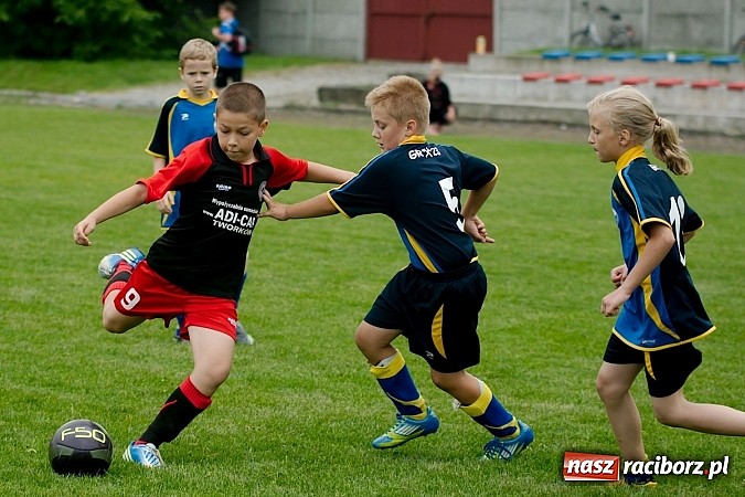 Zdjęcie w galerii na portalu naszraciborz.pl: Tworków Cup 2013: Dreszczowiec w finale. Puchar zostaje w Tworkowie wiadomości z regionu