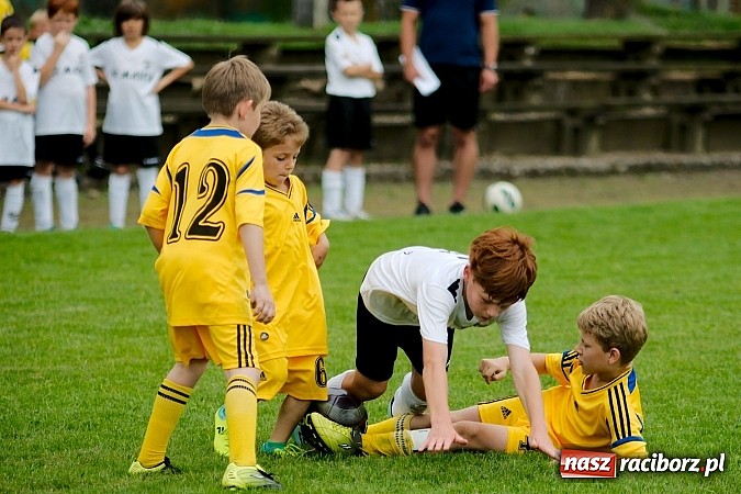 Zdjęcie w galerii na portalu naszraciborz.pl: Tworków Cup 2013: Dreszczowiec w finale. Puchar zostaje w Tworkowie wiadomości z regionu