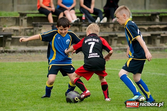 Zdjęcie w galerii na portalu naszraciborz.pl: Tworków Cup 2013: Dreszczowiec w finale. Puchar zostaje w Tworkowie wiadomości z regionu