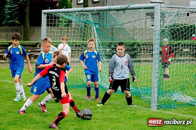 Zdjęcie w galerii na portalu naszraciborz.pl: Tworków Cup 2013: Dreszczowiec w finale. Puchar zostaje w Tworkowie wiadomości z regionu