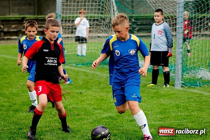 Zdjęcie w galerii na portalu naszraciborz.pl: Tworków Cup 2013: Dreszczowiec w finale. Puchar zostaje w Tworkowie wiadomości z regionu