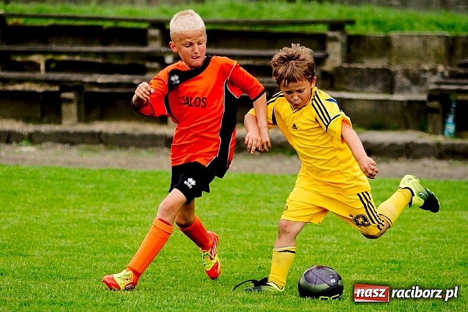 Zdjęcie w galerii na portalu naszraciborz.pl: Tworków Cup 2013: Dreszczowiec w finale. Puchar zostaje w Tworkowie wiadomości z regionu
