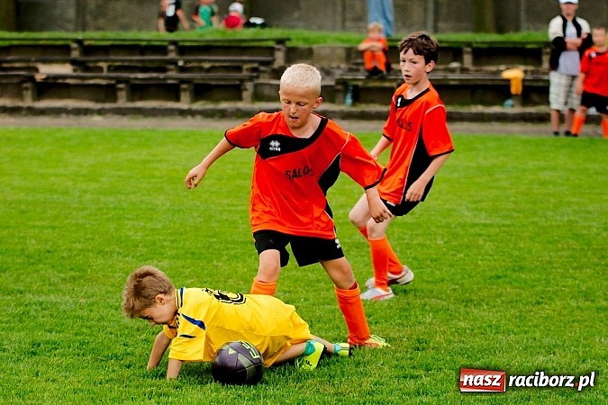 Zdjęcie w galerii na portalu naszraciborz.pl: Tworków Cup 2013: Dreszczowiec w finale. Puchar zostaje w Tworkowie wiadomości z regionu