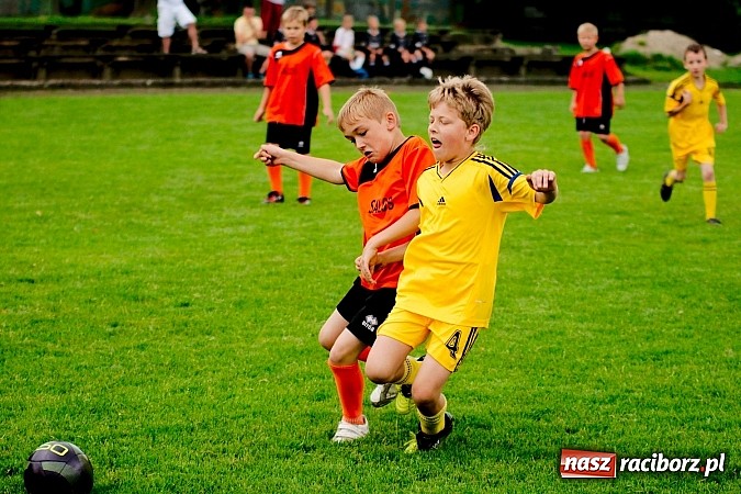 Zdjęcie w galerii na portalu naszraciborz.pl: Tworków Cup 2013: Dreszczowiec w finale. Puchar zostaje w Tworkowie wiadomości z regionu
