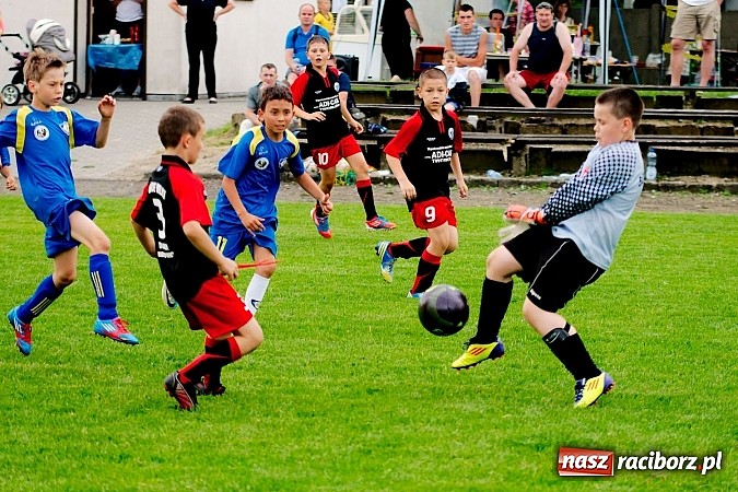 Zdjęcie w galerii na portalu naszraciborz.pl: Tworków Cup 2013: Dreszczowiec w finale. Puchar zostaje w Tworkowie wiadomości z regionu