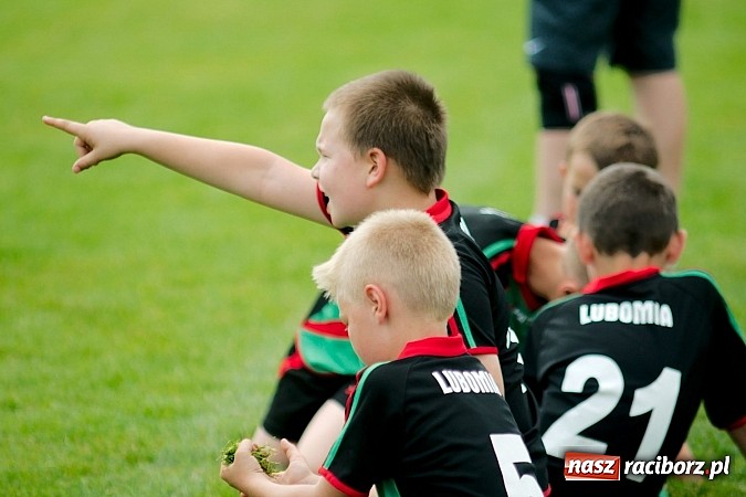 Zdjęcie w galerii na portalu naszraciborz.pl: Tworków Cup 2013: Dreszczowiec w finale. Puchar zostaje w Tworkowie wiadomości z regionu