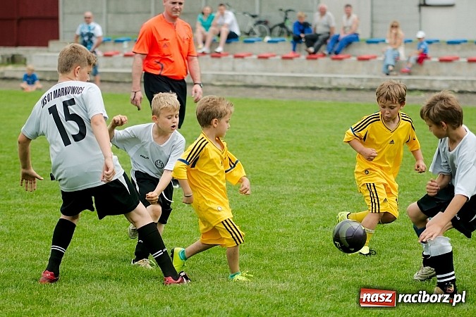 Zdjęcie w galerii na portalu naszraciborz.pl: Tworków Cup 2013: Dreszczowiec w finale. Puchar zostaje w Tworkowie wiadomości z regionu