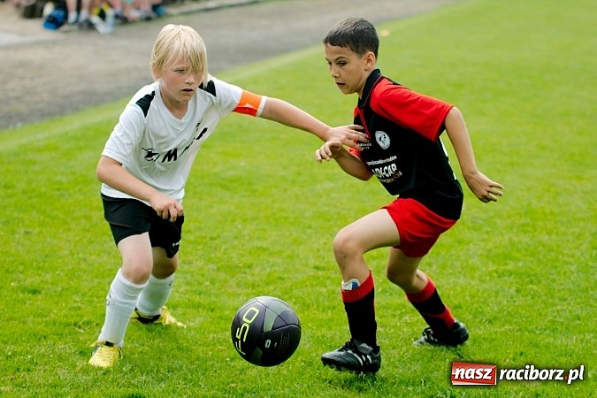 Zdjęcie w galerii na portalu naszraciborz.pl: Tworków Cup 2013: Dreszczowiec w finale. Puchar zostaje w Tworkowie wiadomości z regionu