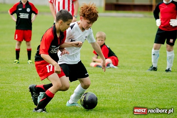 Zdjęcie w galerii na portalu naszraciborz.pl: Tworków Cup 2013: Dreszczowiec w finale. Puchar zostaje w Tworkowie wiadomości z regionu