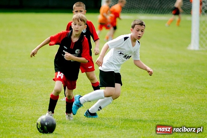 Zdjęcie w galerii na portalu naszraciborz.pl: Tworków Cup 2013: Dreszczowiec w finale. Puchar zostaje w Tworkowie wiadomości z regionu