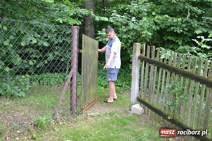 Zdjęcie w galerii na portalu naszraciborz.pl: Wielkie trzęsienie w Jankowicach! Kto odpowiada za śmierć drobiu? wiadomości z regionu