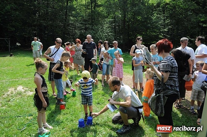 Zdjęcie w galerii na portalu naszraciborz.pl: Bajkowy las - moc rodzinnej zabawy w Oborze wiadomości z regionu
