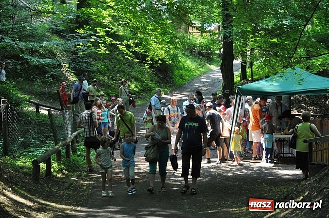 Zdjęcie w galerii na portalu naszraciborz.pl: Bajkowy las - moc rodzinnej zabawy w Oborze wiadomości z regionu