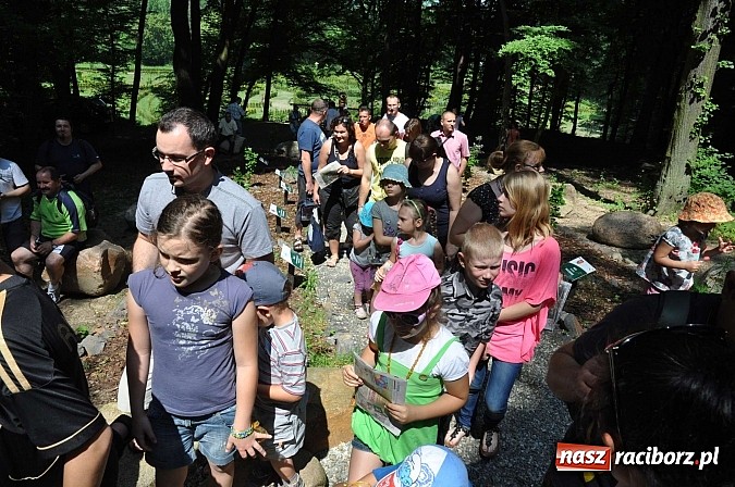 Zdjęcie w galerii na portalu naszraciborz.pl: Bajkowy las - moc rodzinnej zabawy w Oborze wiadomości z regionu