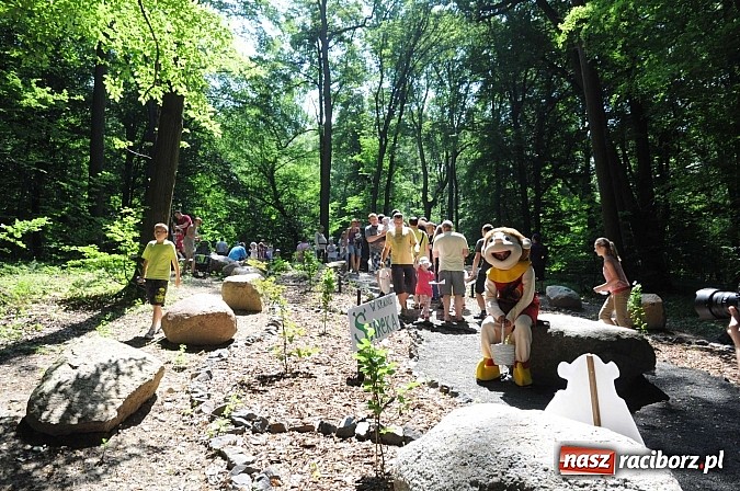 Zdjęcie w galerii na portalu naszraciborz.pl: Bajkowy las - moc rodzinnej zabawy w Oborze wiadomości z regionu