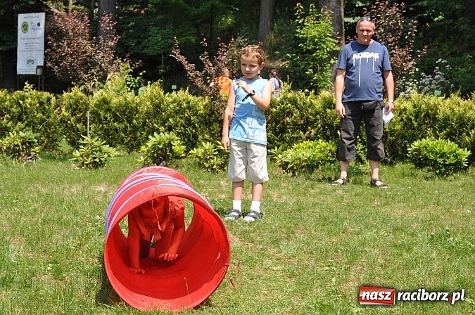 Zdjęcie w galerii na portalu naszraciborz.pl: Bajkowy las - moc rodzinnej zabawy w Oborze wiadomości z regionu