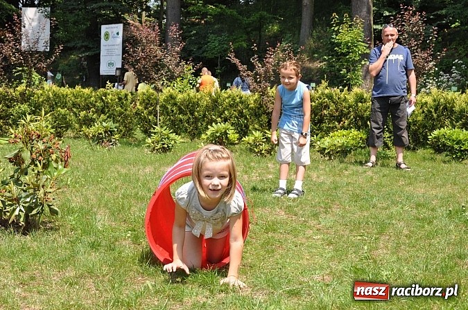 Zdjęcie w galerii na portalu naszraciborz.pl: Bajkowy las - moc rodzinnej zabawy w Oborze wiadomości z regionu